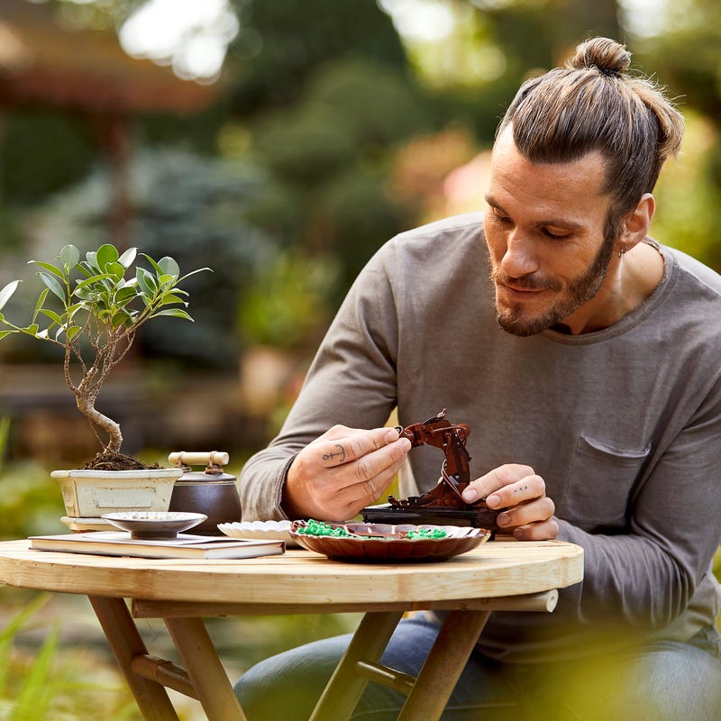 Bonsai Tree Lego