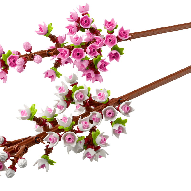 Cherry Blossoms 40725