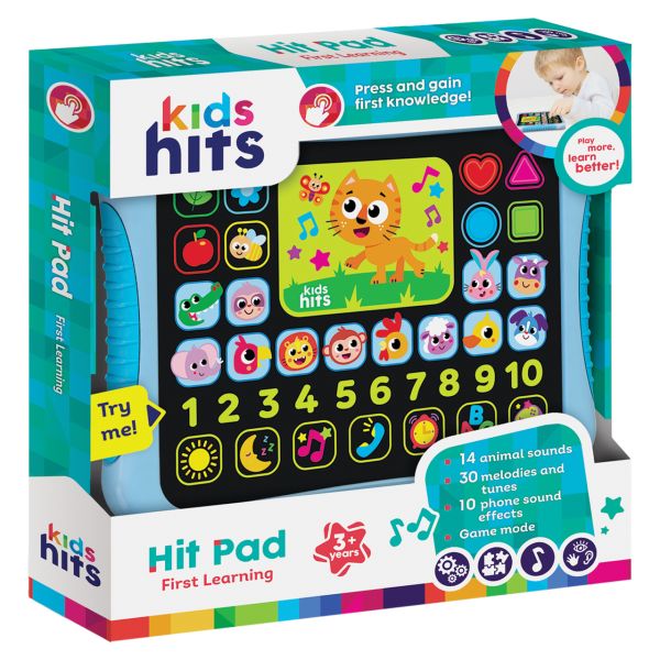 First Learning Hit Pad Toy