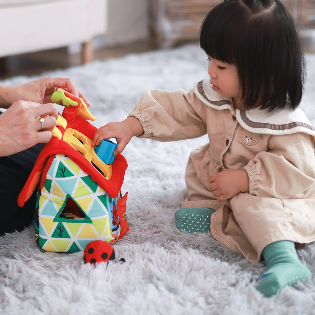 Deluxe Patrick Shape Sorting House