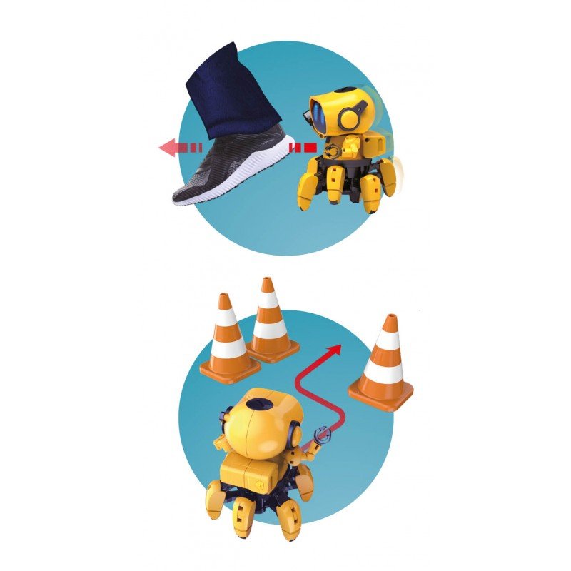 Tibo The Interactive Robot