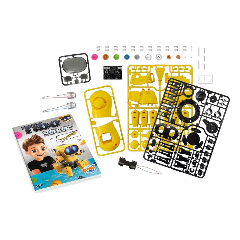 Tibo The Interactive Robot