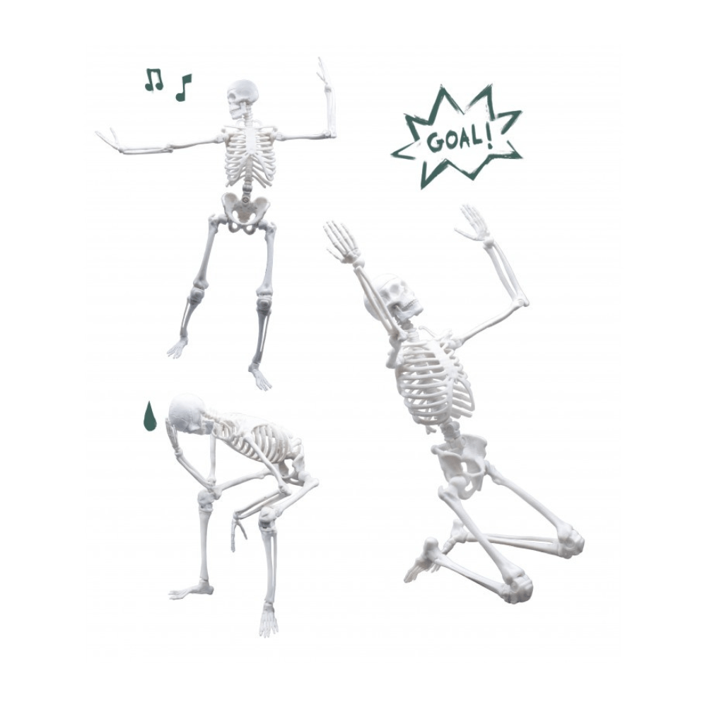 45 cm Skeleton Model