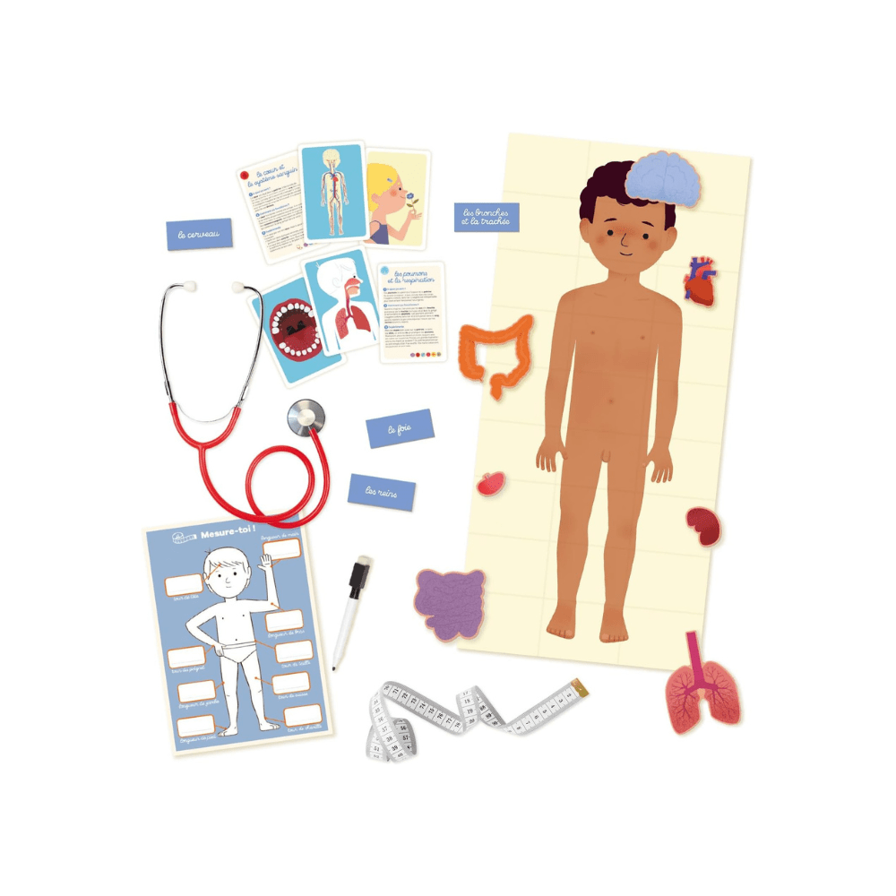 Le Corps Humain Anatomy Game