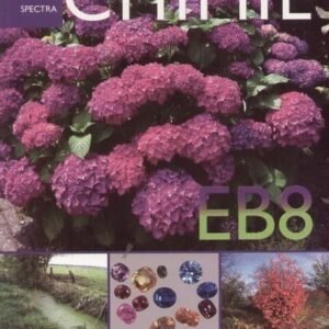 Chimie Eb8 Spectra 2012 (4eme)